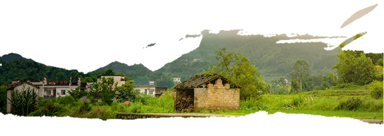 1717816750198772.jpeg c80962666d56ff4a2630f2517441f616_06.jpg