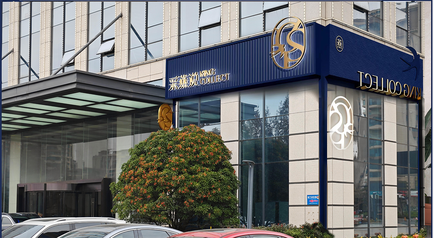 1717816750198772.jpeg 1717816750198772.jpeg